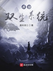 我的双生系统