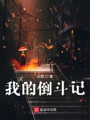 我的倒斗记