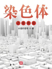 染色体ZER0