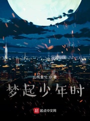 梦起少年时