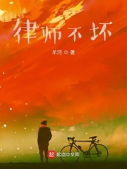 律师不坏