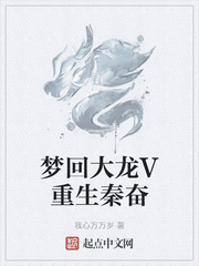 梦回大龙V重生秦奋