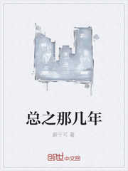 总之那几年