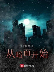 从暗面开始