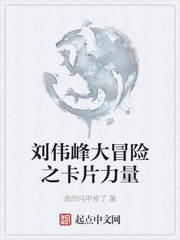 刘伟峰大冒险之卡片力量