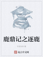 鹿鼎记之逐鹿