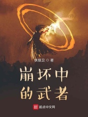 崩坏中的武者