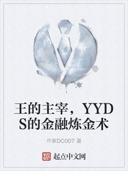 王的主宰，YYDS的金融炼金术