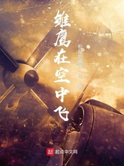 雏鹰在空中飞