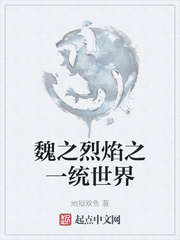 魏之烈焰之一统世界