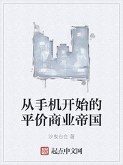 从手机开始的平价商业帝国