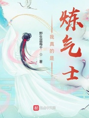 我真的是炼气士