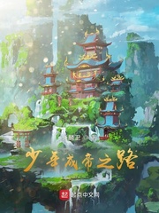 少年成帝之路
