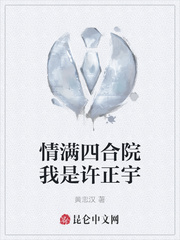 情满四合院我是许正宇