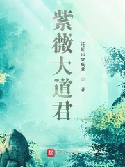紫薇大道君