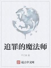 追罪的魔法师