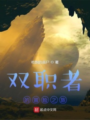 双职者的冒险之旅