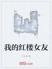 我的红楼女友