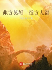 此方英雄，彼方大盗！