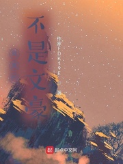 我真的不是文豪