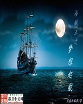 海贼王之梦想起航