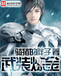 武装炼金全集解说
