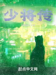 少将传