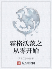 霍格沃茨之从零开始