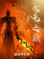 次元之巅
