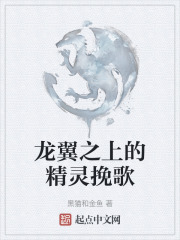 龙翼之上的精灵挽歌
