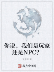 你说，我们是玩家还是NPC？