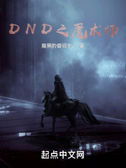 DND之魔术师
