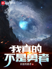 我真的不是勇者