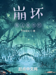 崩坏我上我也行