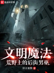 文明魔法荒野上的后街男巫
