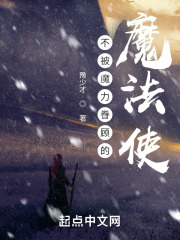 不被魔力眷顾的魔法使