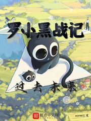 罗小黑战记：过去未来