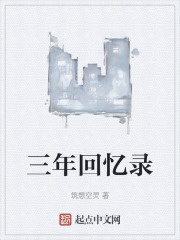 三年回忆录