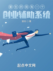 重生的我有一个创业辅助系统