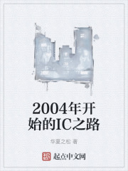 2004年开始的IC之路