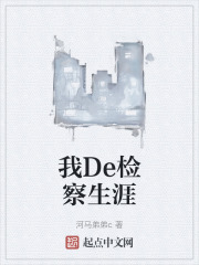 我De检察生涯