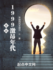 重返1999激昂年代下载健盘小说