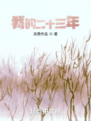 我的二十三年