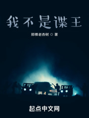 我不是谍王