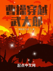 曹操穿越武大郎