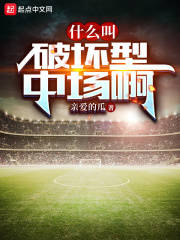 什么叫破坏型中场啊免费