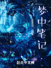 梦中笔记！