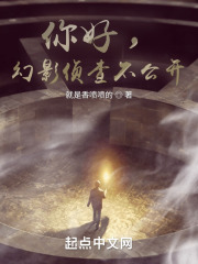 你好，幻影侦查不公开