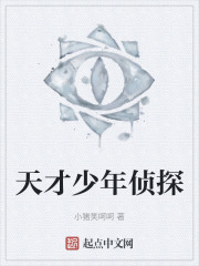 天才少年侦探
