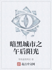 暗黑城市之午后阳光